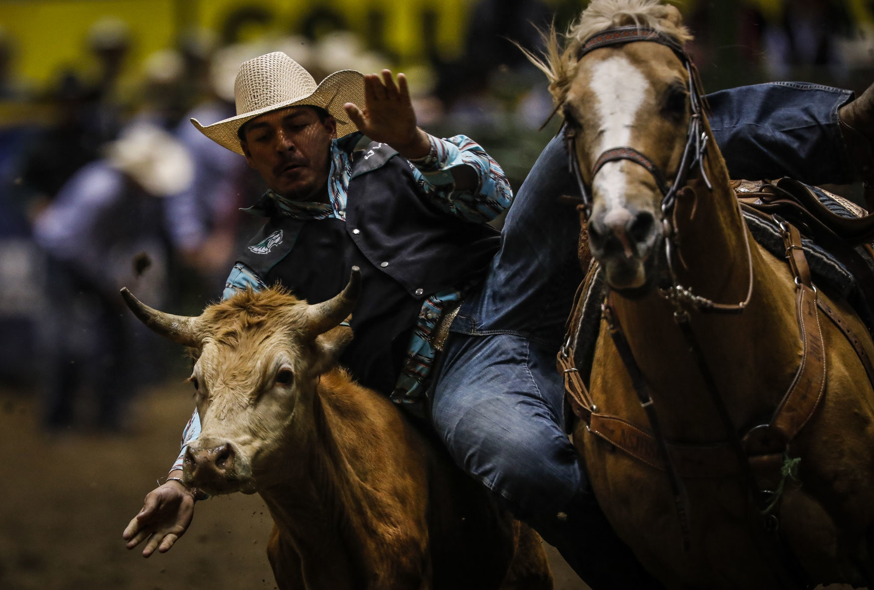 CNFR - Thursday